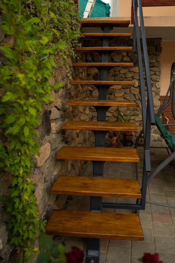 Apartament Panoramic La Casa In Comuna Rasinari Exterior photo