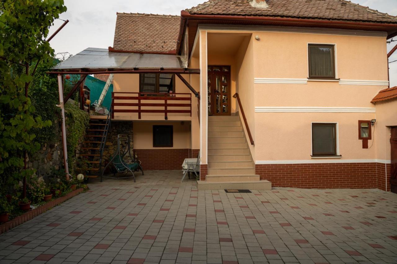 Apartament Panoramic La Casa In Comuna Rasinari Exterior photo